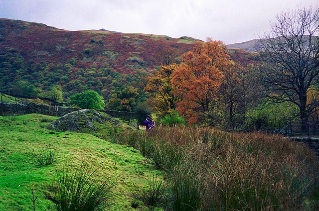 Autumn colours near Hartsop (Scan from 1994)