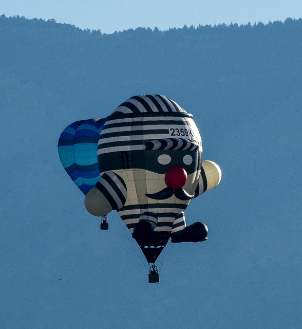 Albuquerque balloon fiesta9