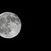 Vollmond 12.12.2019...    full moon 12.12.2019...