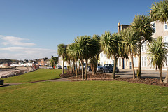 Tropical Millport