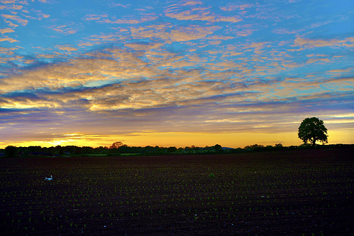 Gnosall sunset