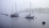 River Leven in the Mist