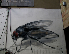 The fly mural.