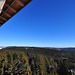 auf dem Riesenbühlturm bei Schluchsee (© Buelipix)