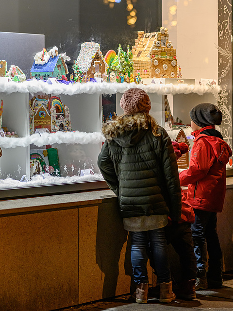 Inspection of the gingerbread houses