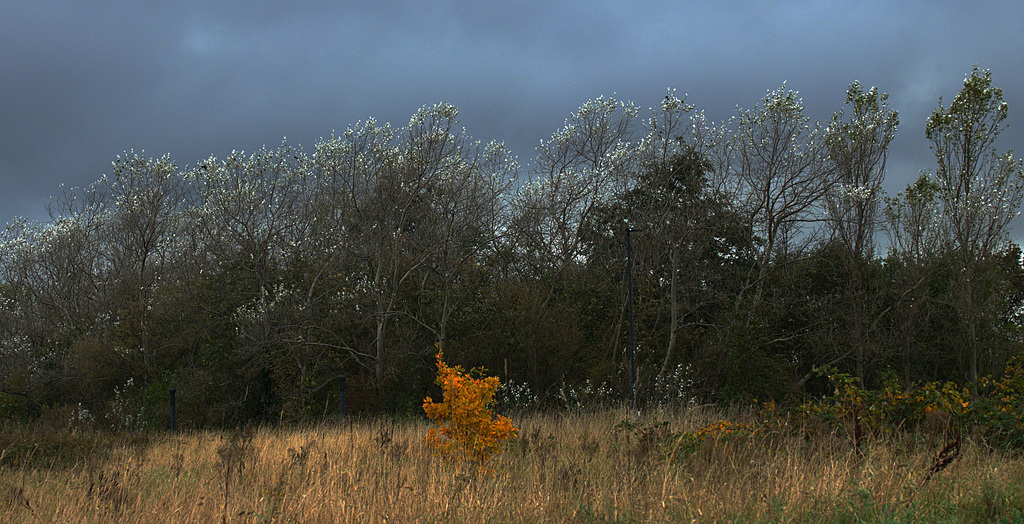 A Bit Of Colour