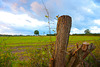 Fields over the garden hedge