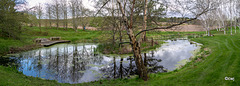 A day spent clearing blanket weed and duckweed...