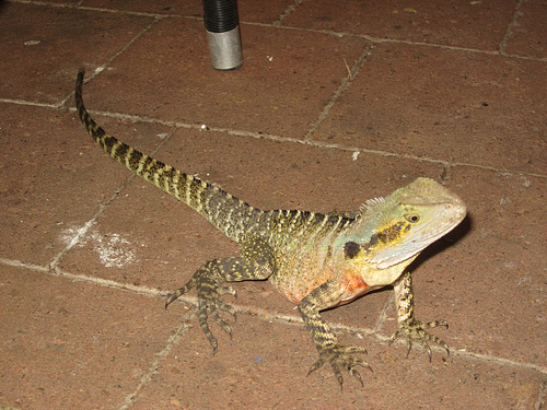 IMG 4312