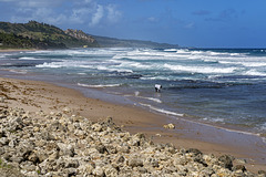 Bathsheba beach