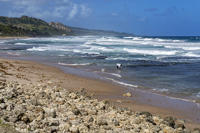 Bathsheba beach