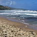 Bathsheba beach