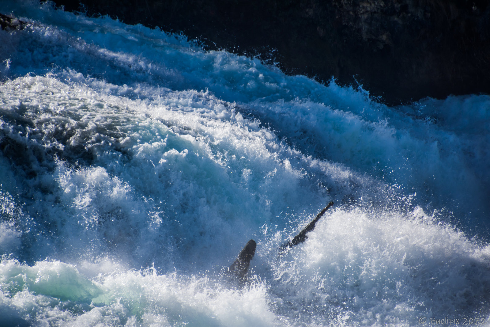 beim Rheinfall (© Buelipix)