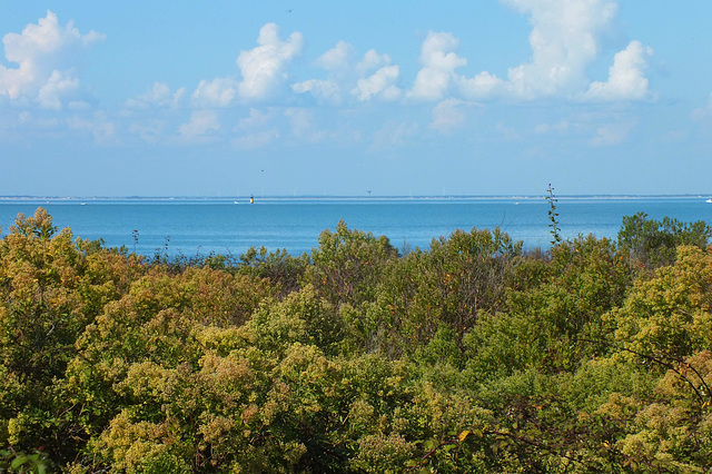 Vu del'Ile de Ré (France)