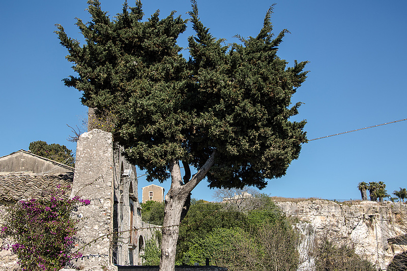 20160328 0663VRAw [I] Archeologischer Park, Syrakus, Sizilien