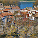 Avignon : il centro storico sulla sponda del Rodano presso il ponte di St.-Benezet - lato nord