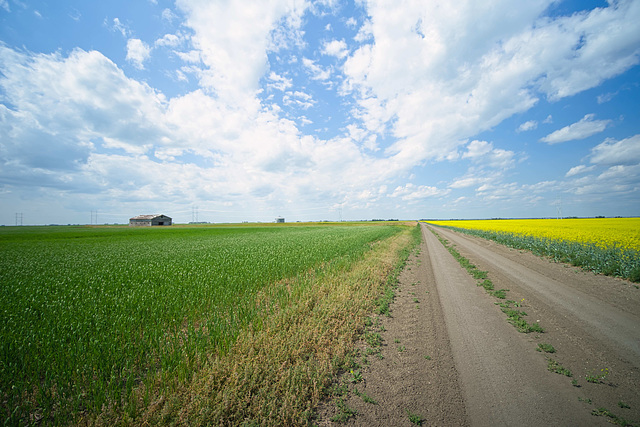 down a dirt road