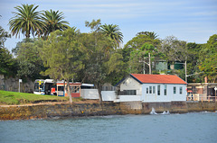 Buses at Cremorne Point