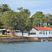 Buses at Cremorne Point