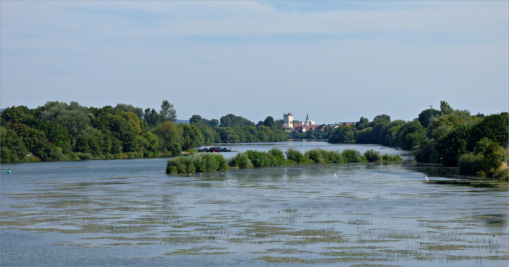 Blick auf Wieblingen