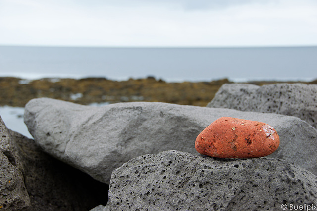 an der Küste bei Garður (© Buelipix)
