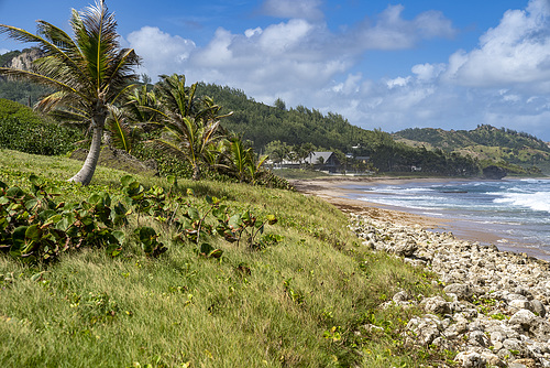 Barbados - east coast