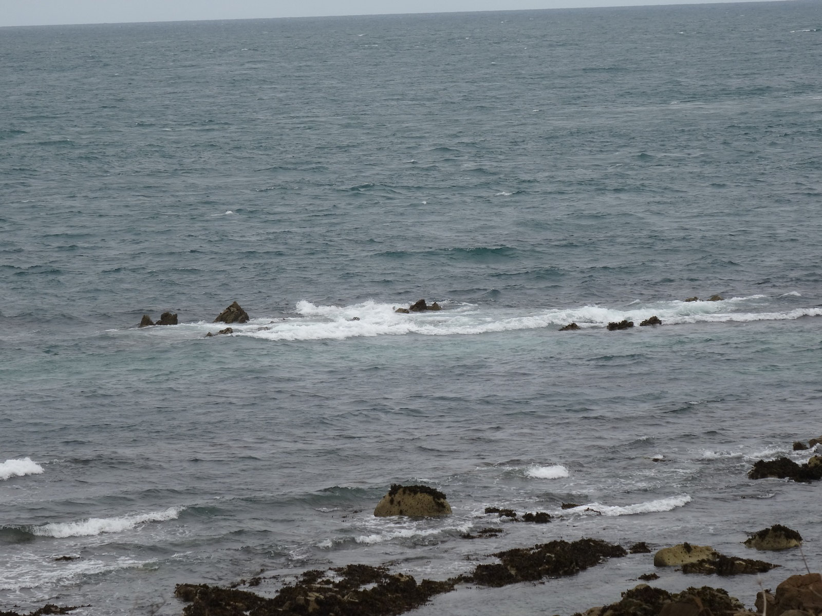 aysep2019coast (1012)