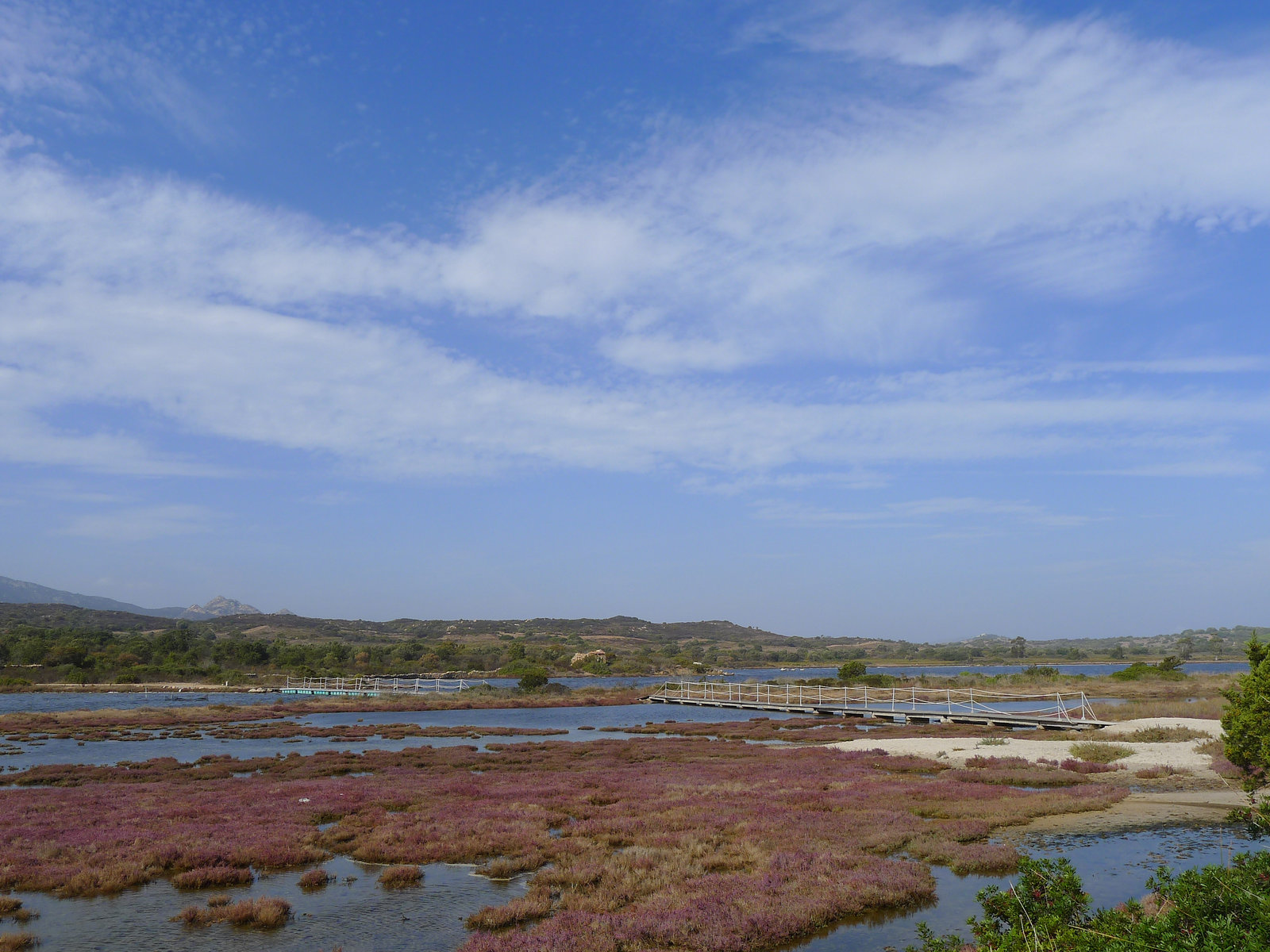 P1390408