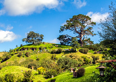 Hobbiton-3 Hobbiton-3