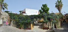 Homer Street in the Old Town of Rhodes