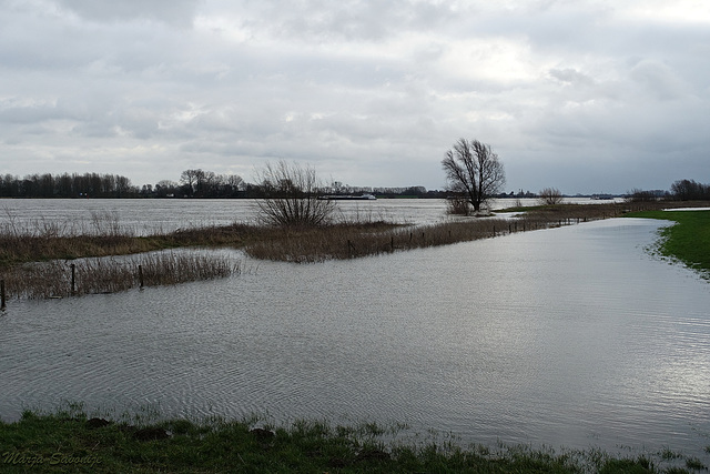 Water over de zomerdijk