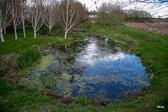 A day spent clearing blanket weed and duckweed...