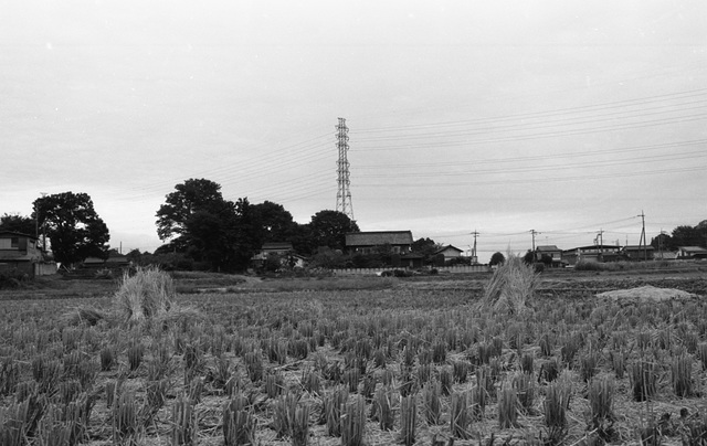 After harvest