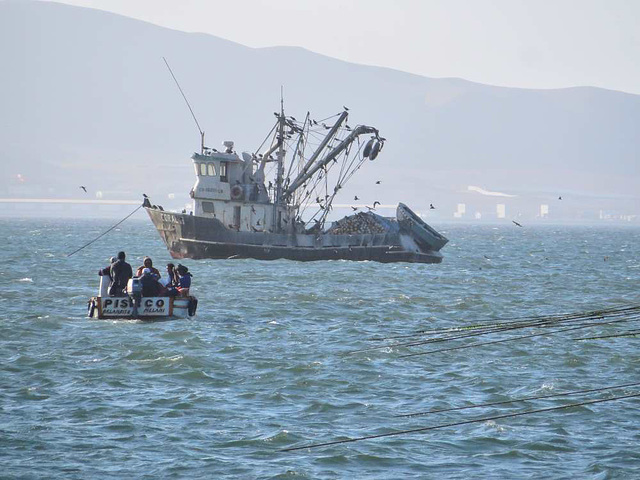 Overbooking a Paracas-Perú