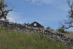 HWW ~ A Dales wall and window