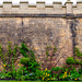 HWW: A wall at Bolsover Castle