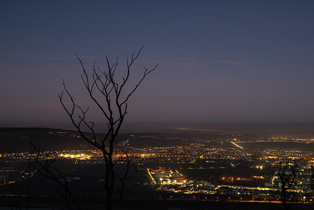 Wien vom Leopoldsberg