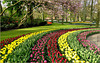 Keukenhof, Lisse, The Netherlands...