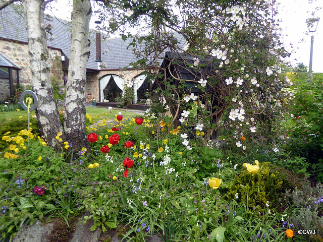 Spring colours in the Courtyard