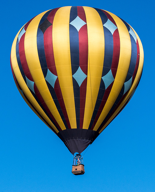 Albuquerque balloon fiesta14