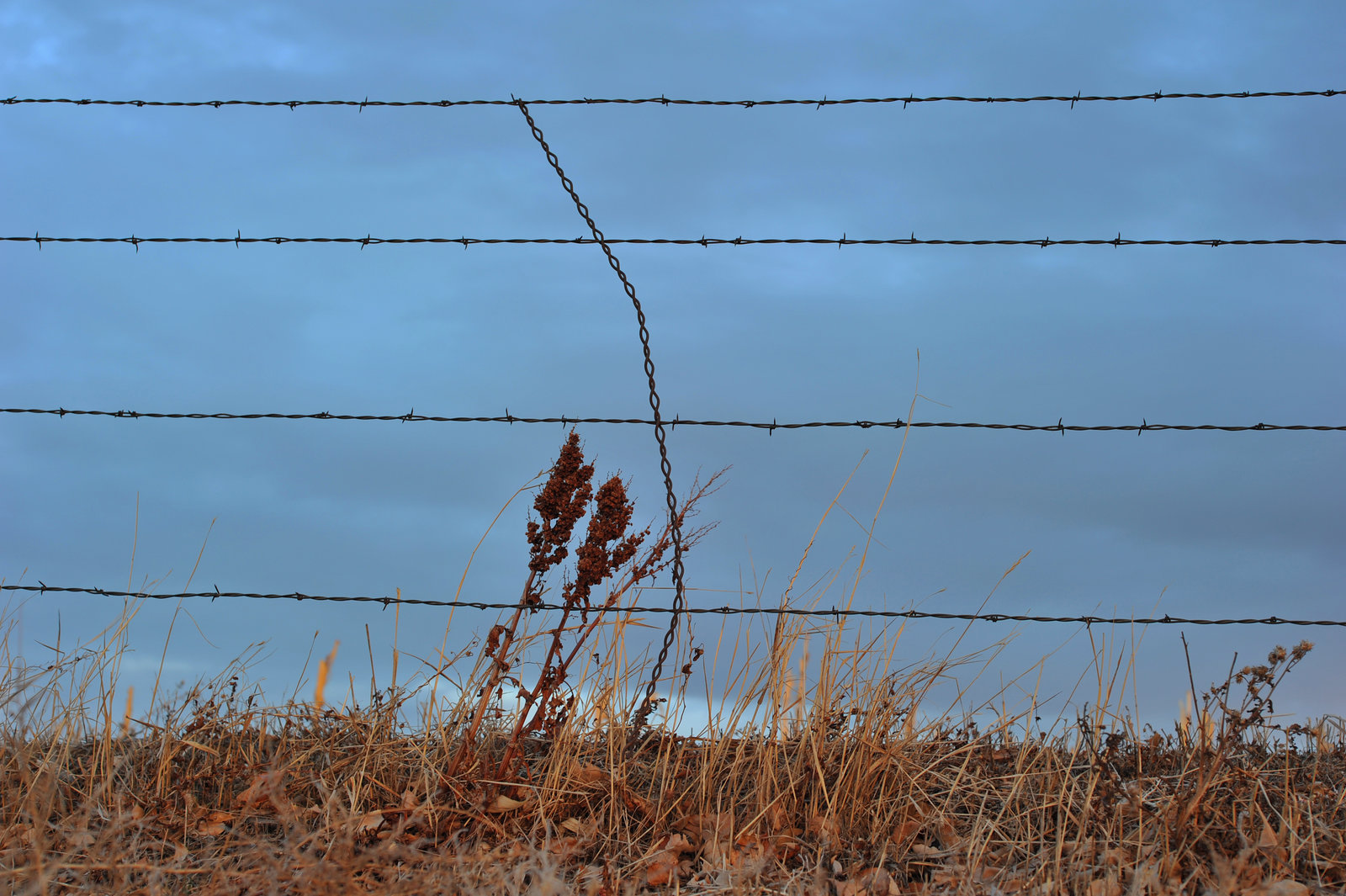 Don't fence me in.