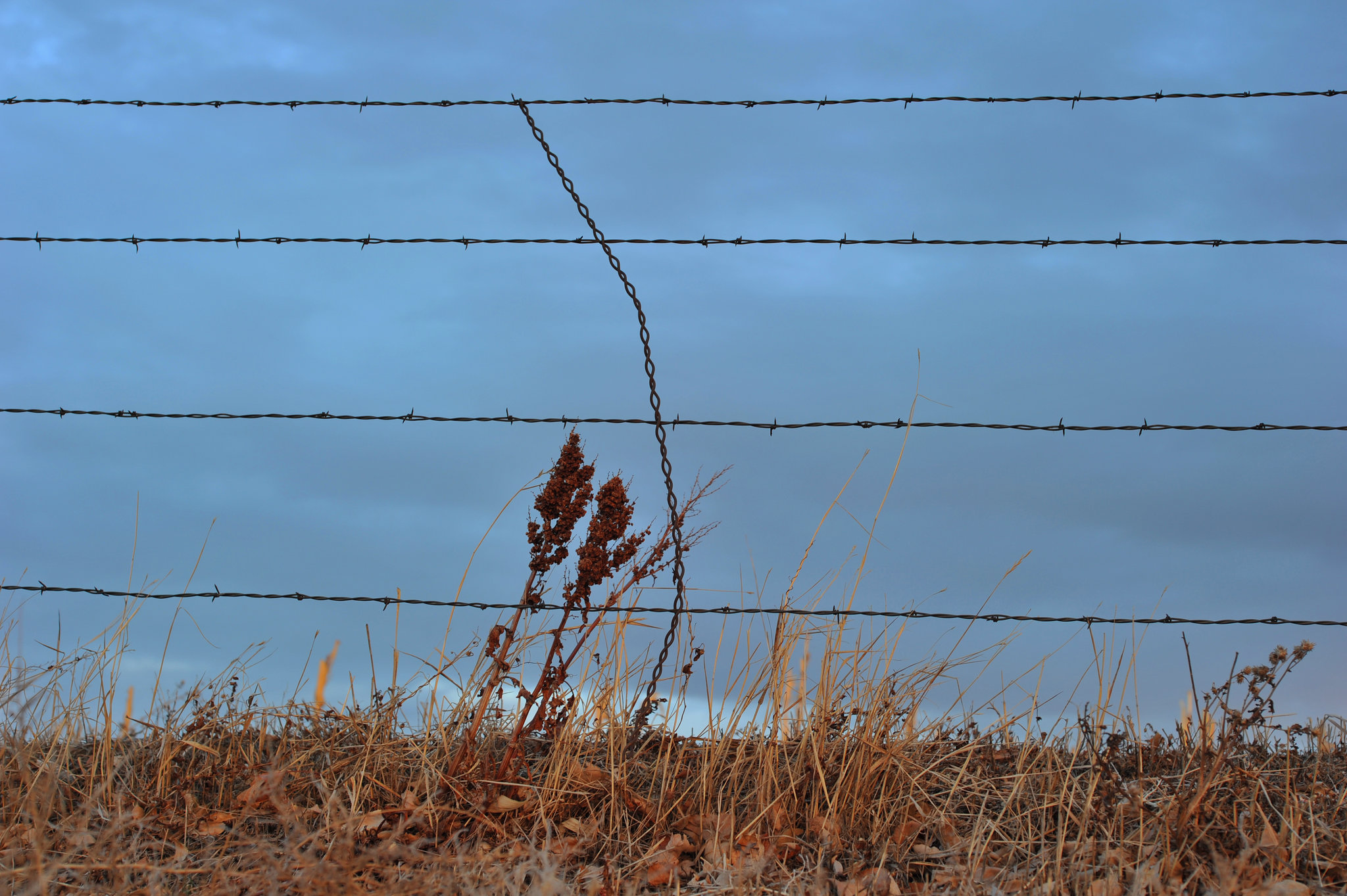 Don't fence me in.
