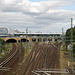KR605055©IngoKrehl