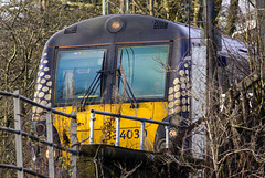 Train at Dalreoch Station