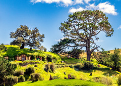Hobbiton-65 Hobbiton-65