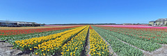 Nederland - Kop van Noord-Holland