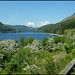 Thirlmere in may