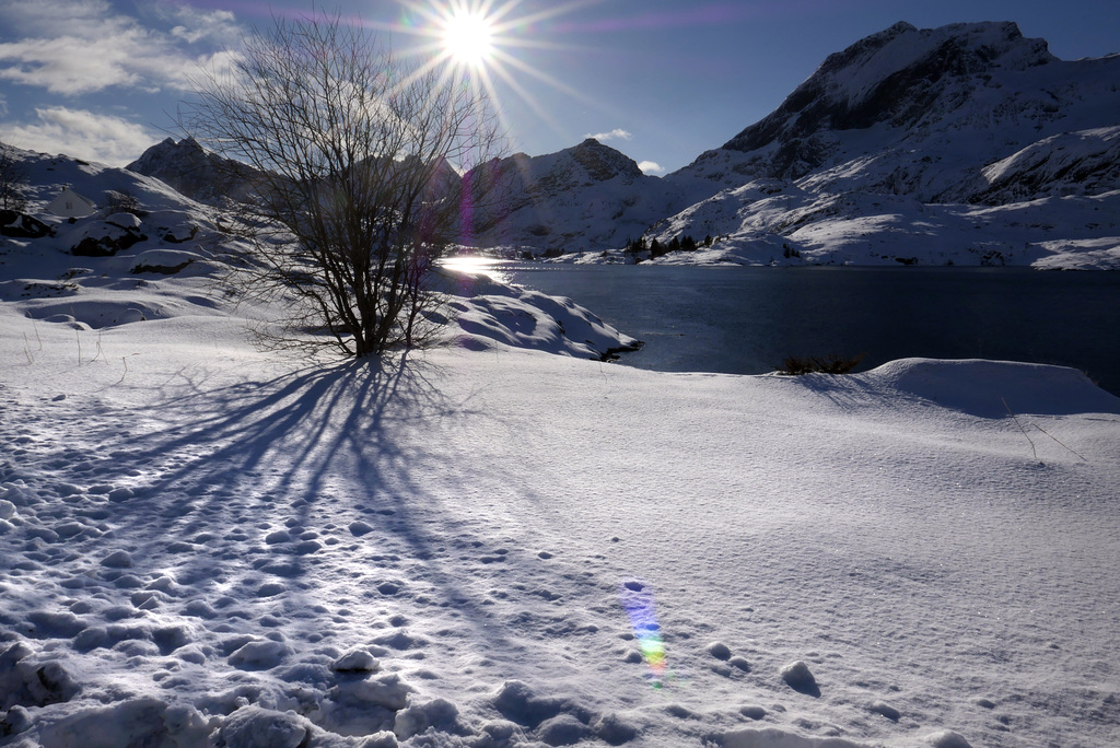 Lofoten, backlight