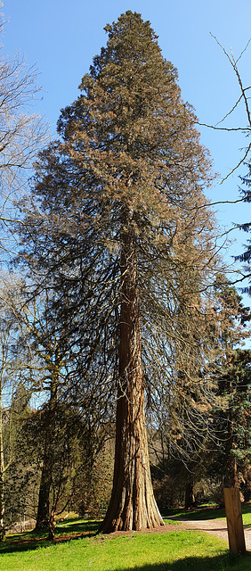 Stourhead Gardens