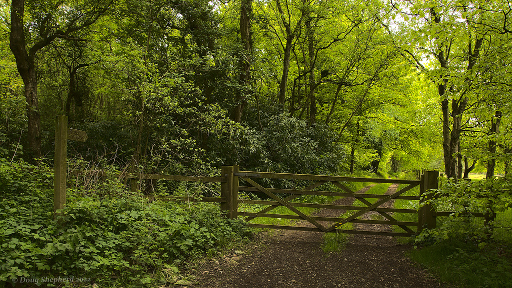 Public footpath (HFF Everyone) (1 x note)